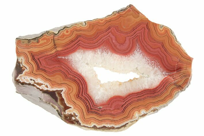 Colorful, Polished Dryhead Agate Slice - Montana #191883